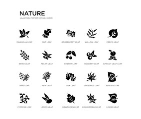 set of 20 black filled vector icons such as linden leaf, poplar leaf, apricot leaf cercis liquidambar hawthorn briar willow gooseberry nut nature black icons collection. editable pixel perfect