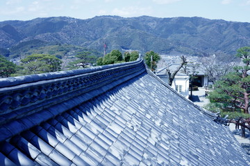 Japanese castle and traditional Japanese roof