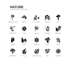 set of 20 black filled vector icons such as astrantia, beech, bergamot, birch, bell, bougainvillea, dandelion, dianthus, eco socket, freesia. nature black icons collection. editable pixel perfect