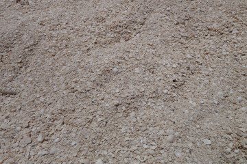 貝殻でできた砂浜の砂（ハメリンプール・西オーストラリア）