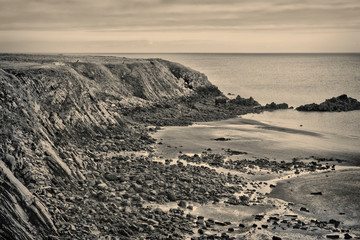 Irish coast
