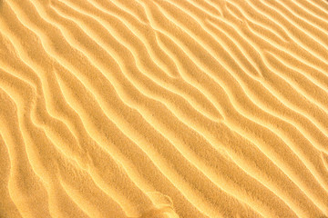 Fototapeta na wymiar Texture of yellow desert sand dunes. Can be used as natural background