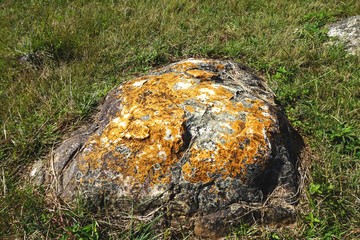 Large boulder with colorful lichen and moss surrounded by grass