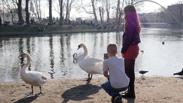 Teenage friends boy and girl take smart phone pictures of birds swans in city river Odra in Poland Wroclaw