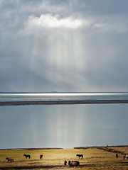 clouds and rays of light over iceland south coast in winter