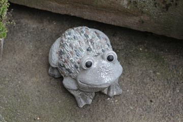 Frosch