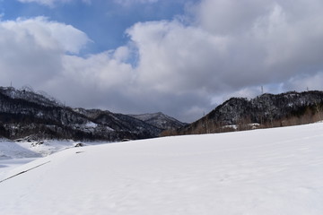 Fototapeta na wymiar 冬の山