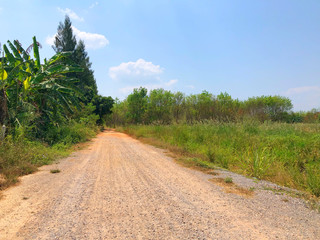 Fototapeta na wymiar Dirt road along the field in countryside