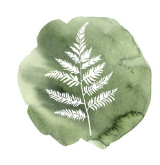 Fern leaf Isolate