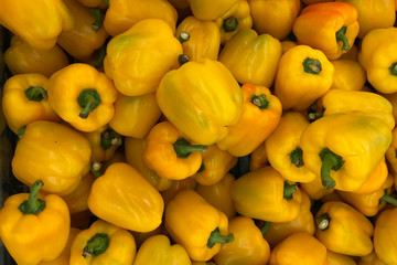 The yellow sweet pepper or yellow bell pepper, there are in the market, look so fresh, would be...