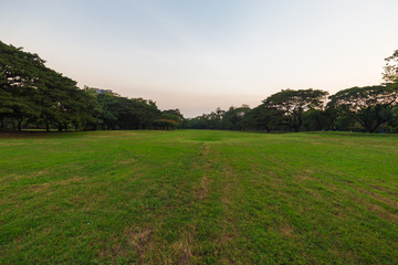 Silhouette sunset colorful sky at public park with green tree and meadow