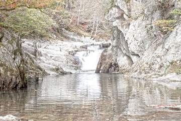 waterfall in a lake in the middle of the forest in white