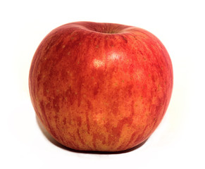 Apple colorful delicious