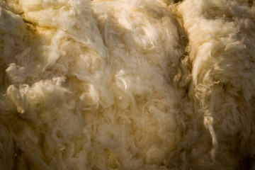 Wool