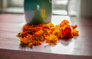 Календула ярко-оранжевая с кувшином на плоскости стола