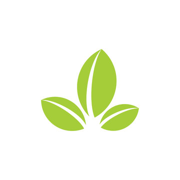simple geometric three leaf natural symbol logo vector