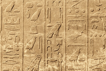 Ancient egyptian hieroglyphs carved on the stone wall