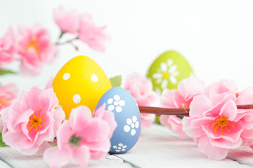 Easter eggs and pink flowers decoration on blue background
