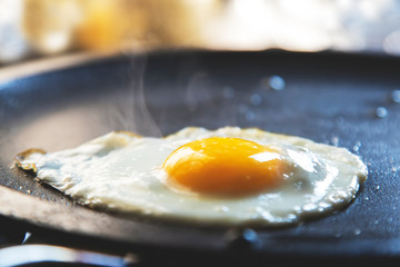 Fried egg on frying pan Horizontal