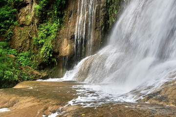 Naklejka premium waterfall in forest