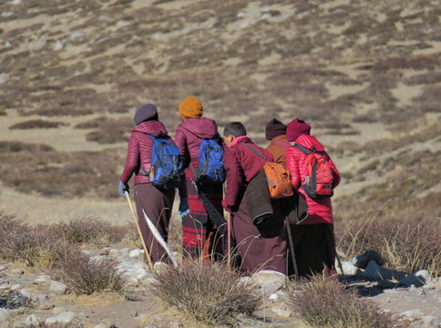 2018 Himalayas, Tibet, kora around Kailas.