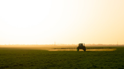 Obraz na płótnie Canvas Tractor on the sunset background. Tractor with high wheels is making fertilizer on young wheat.