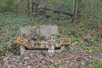 illegale Müllentsorgung