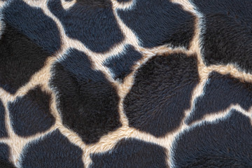Fell - Leopard Fell Hintergrund