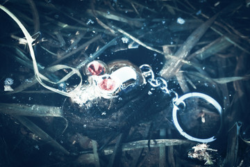 Metal amulet in the form of a skull.
