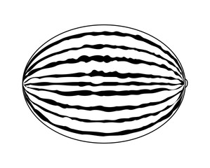 fresh healthy watermelon fruit