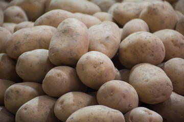 Fototapeta premium pile of potatoes