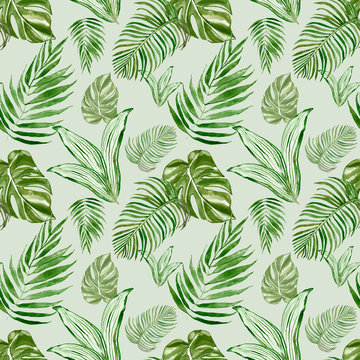 Watercolor tropical leaves and plants seamless pattern. Exotic green palm leaves, monstera leaf on light green background. Decorative botanical summer print. Great for textile design, cards, wrapping. © Anna Nekotangerine
