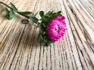 Close up texture of wood table with pink flower on the top. Rustic weathered barn wood table. Wood brown aged plank texture, vintage table with one colorful pink flower.