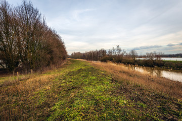 Naklejka premium Dike in a Dutch nature reserve