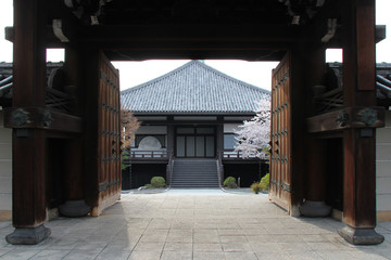 Fototapeta na wymiar Temple (Daiun-in) in Kyoto (Japan)