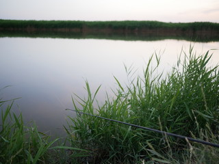 fishing rod on the river bank among green vegetation. beautiful water surface with specific