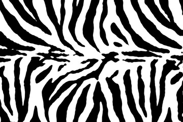 Black and white zebra pattern texture