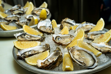 fresh oysters with lemon