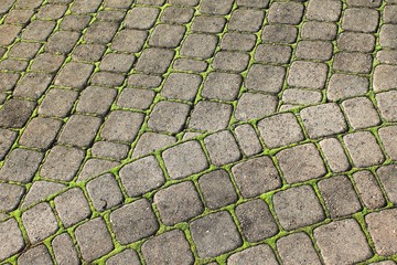 Paving stone with moss between abstract horizontal background texture