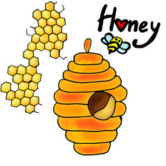 vector bee hive honey