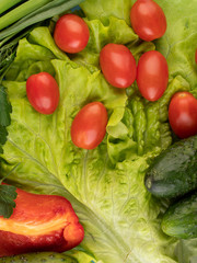 fresh vegetables