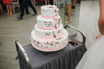 Sweet and tasty cake on the table.