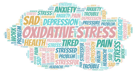 Fototapeta premium Oxidative Stress word cloud.