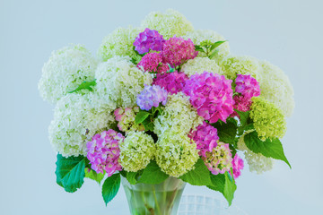 花瓶のアジサイの花