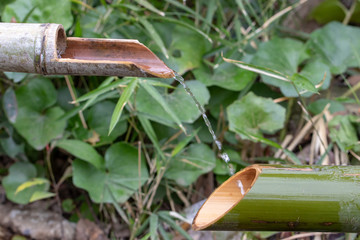 鹿威し　千葉県市川市