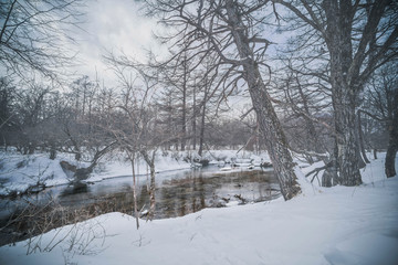 日光　戦場ヶ原　雪景色