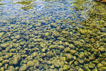 Beautiful pond with stones and plants