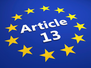 Article 13
