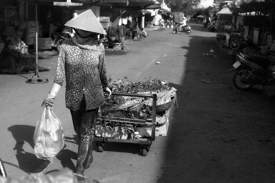 Vietnam #13