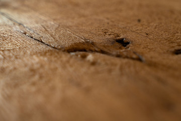 Holz Strucktur